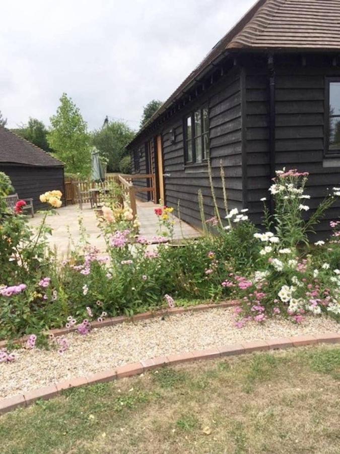 Orchard Cottage 캔터베리 외부 사진